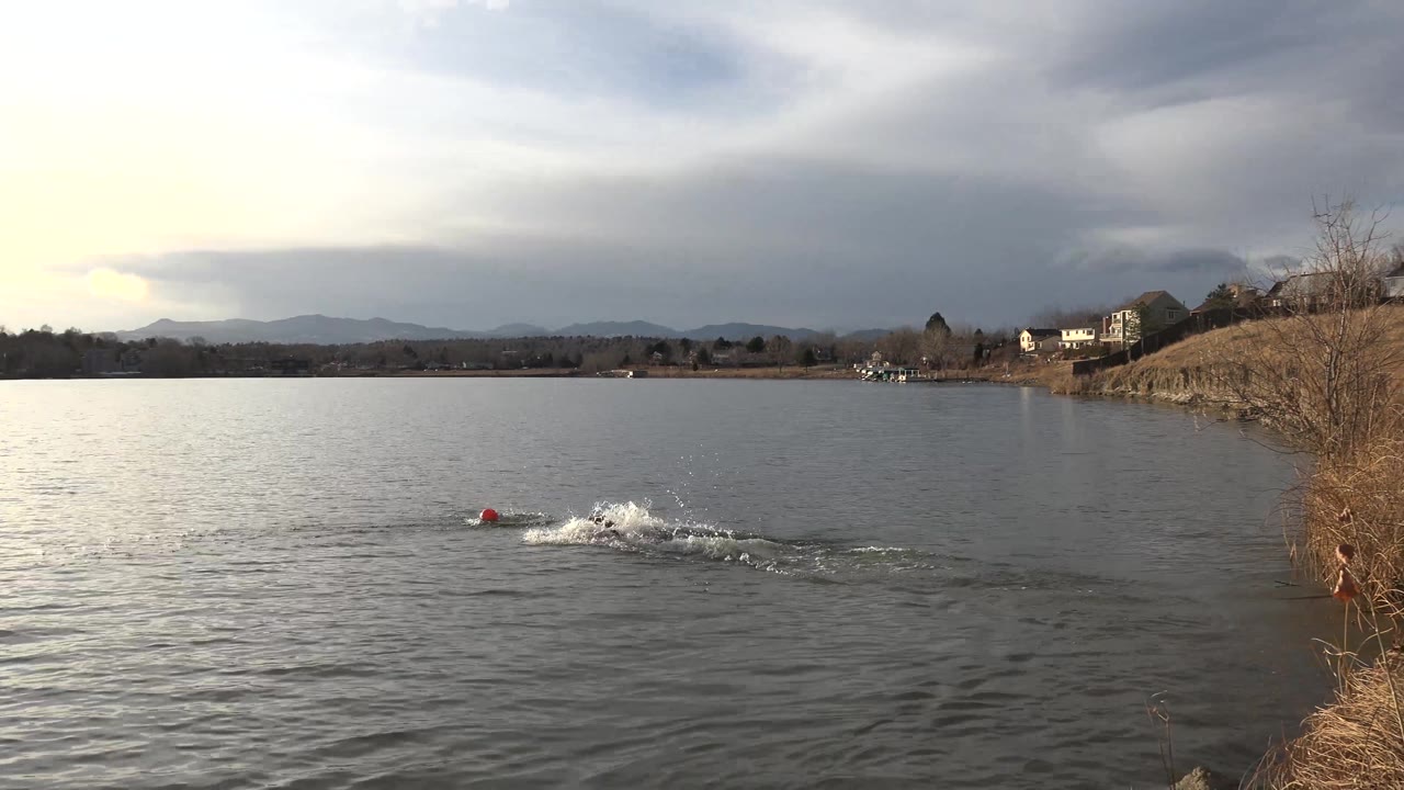 The red object and splashing dog sit farther from the camera on the Westminster, Colorado lake, with a wide water surface, distant shoreline, cloud bands, and no visible people.