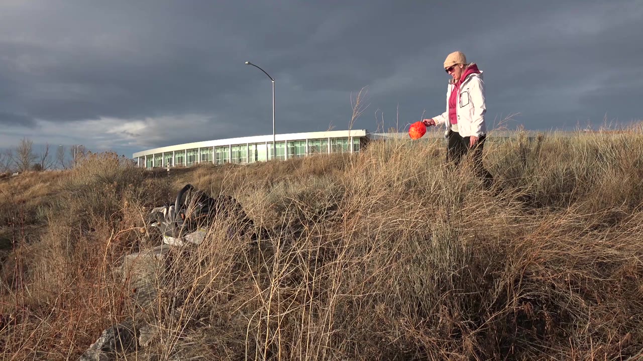 The woman remains on the grassy Westminster lake bank holding a red fetch toy, with the dog below her near rocks and the long low building in the background.