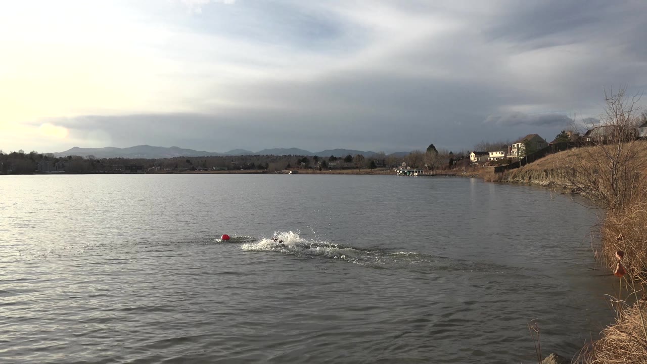 A red floating object sits ahead of the splashing dog in the Westminster, Colorado lake, with the right bank, bare brush, distant homes, hills, and a heavy cloud layer visible, and no visible people.