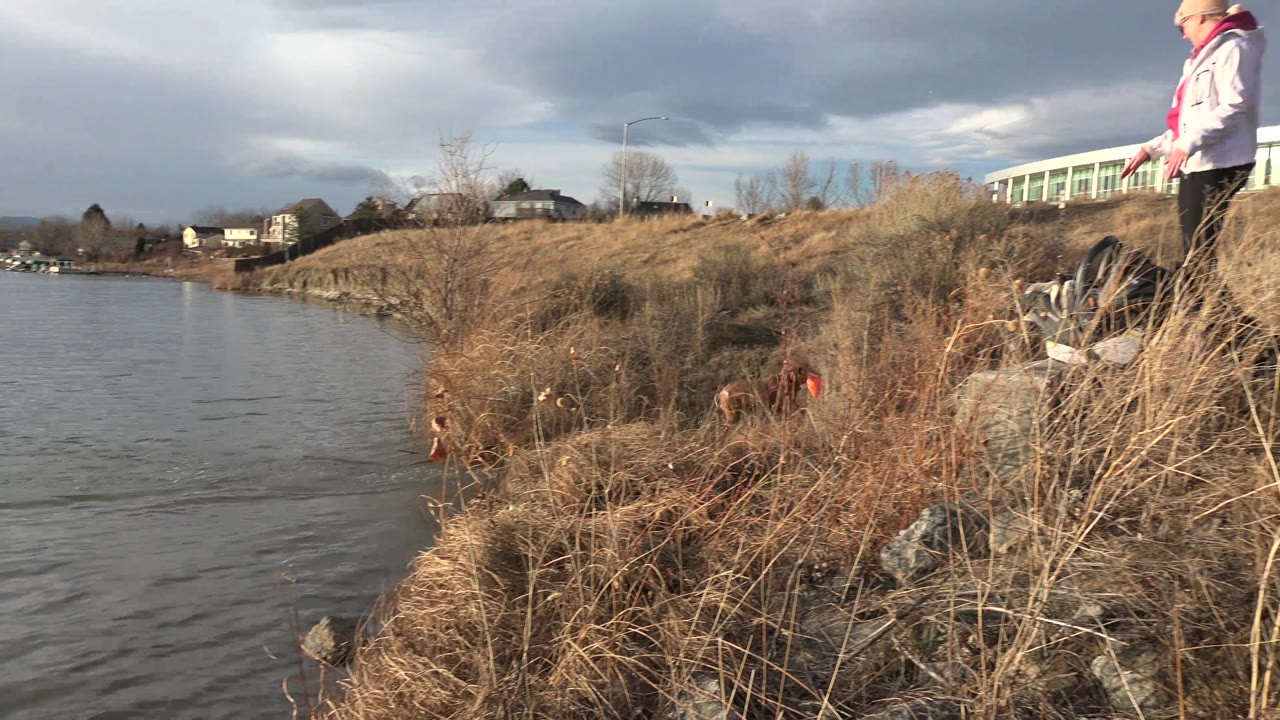 A person in a light jacket and knit hat stands on the dry bank in Westminster, Colorado, while a dog is partly visible near the brush by the water.
