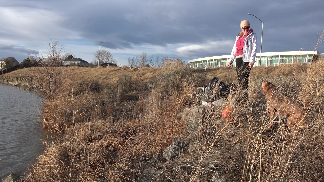 The dog remains low in the dry riverside grass in Westminster, Colorado, while the adult stands slightly right of center under a dark cloud bank.