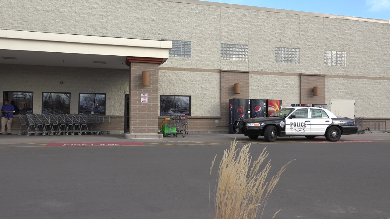 Police car parked outside a storefront with shopping carts and a pedestrian at left.
