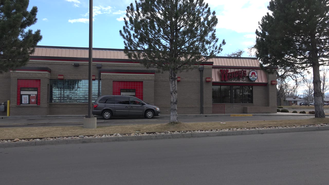 Gray van at Wendy's drive-thru with pine trees in front of the building.