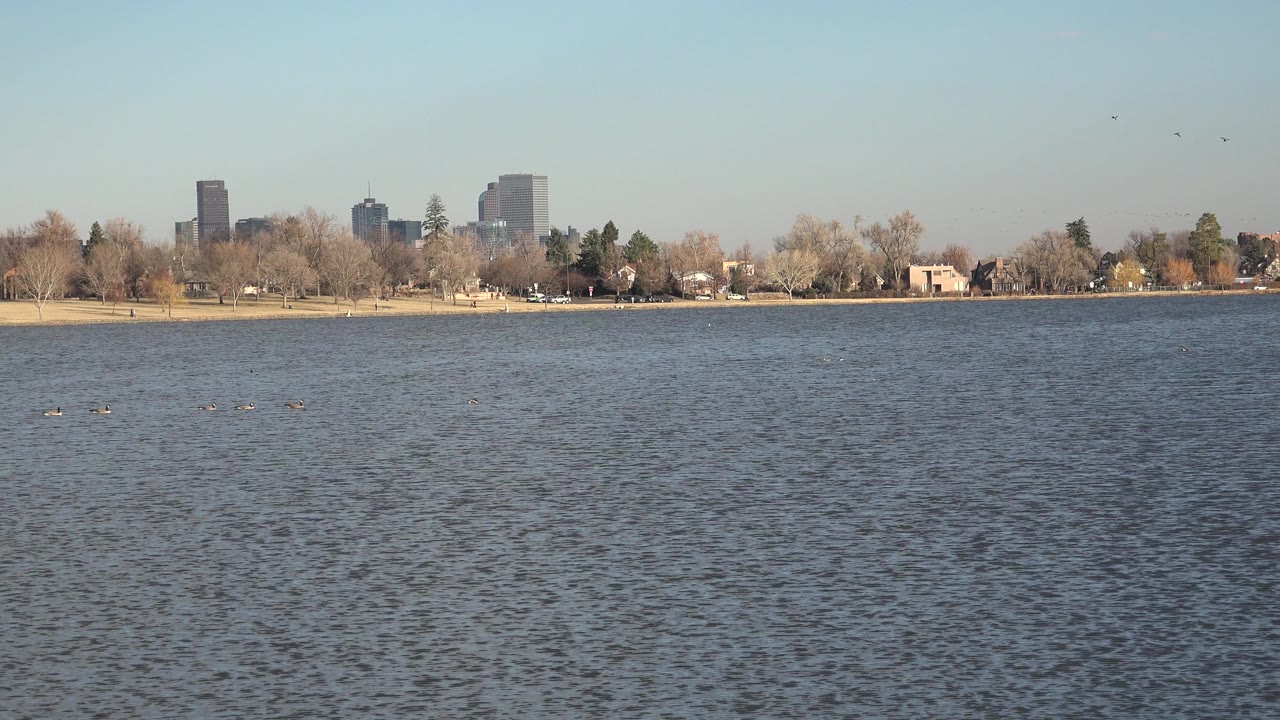 A Westminster, Colorado water view holds on small birds near the left side of the lake, a pale shoreline, bare trees, and distant buildings with no visible people.