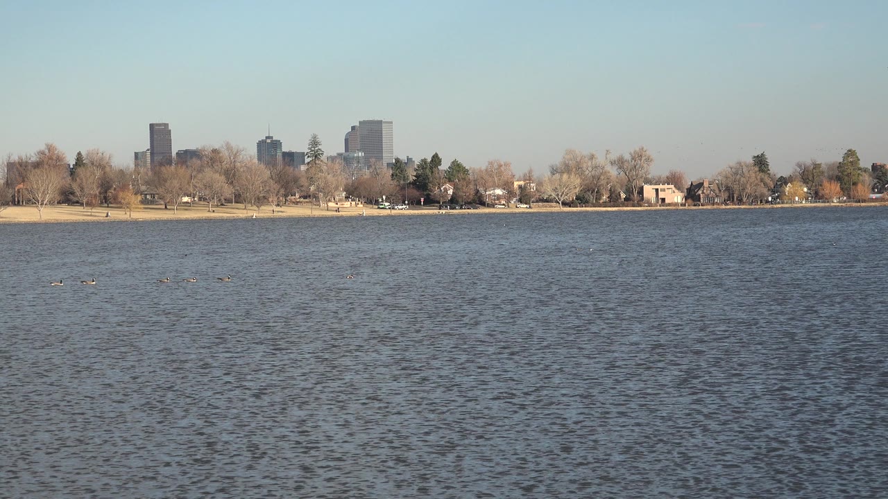 Lake surface with shoreline trees and skyline under clear daylight.