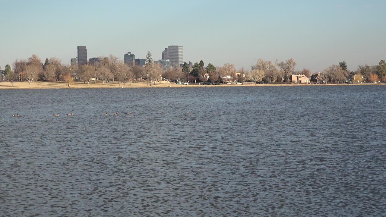 Wide Westminster, Colorado water view with rippled foreground, a tree-lined shore, distant buildings, pale sky, and no visible people.