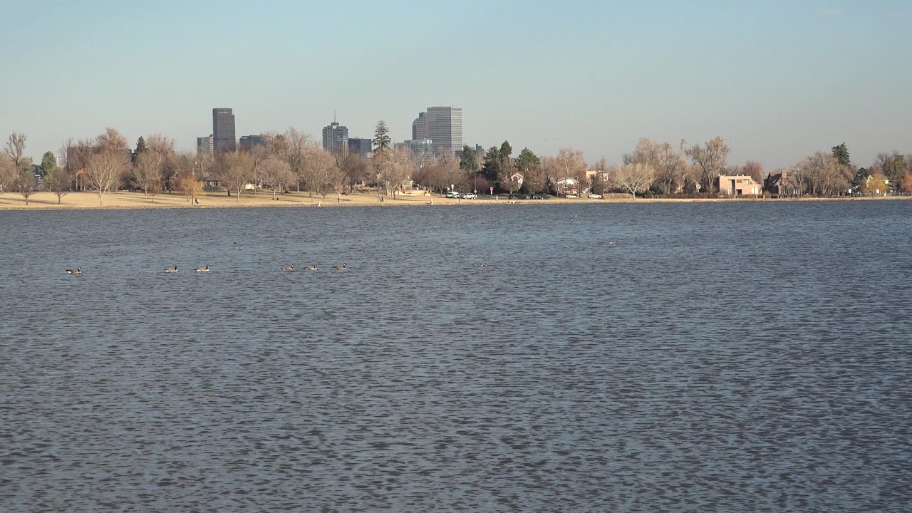 Open water with trees and distant urban buildings