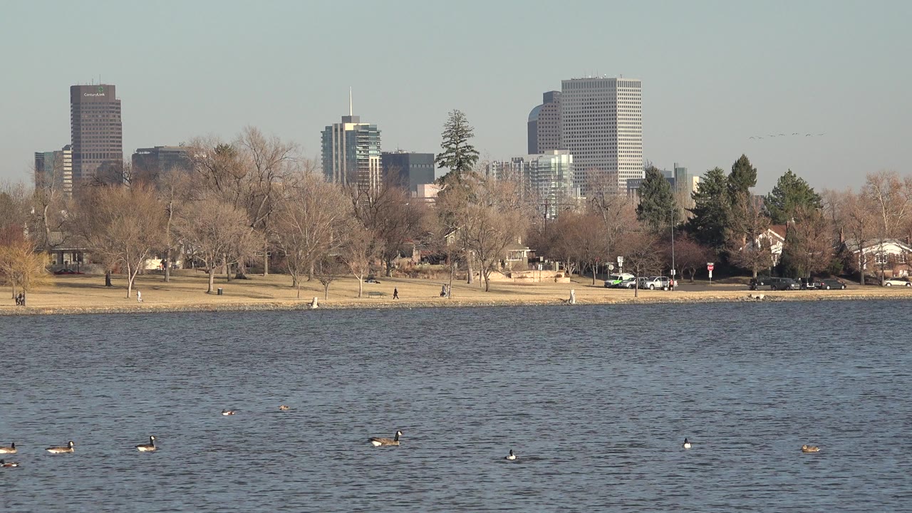 At 0:00, birds float on rippled water in Westminster, Colorado, with bare park trees, houses, and distant city buildings behind them.