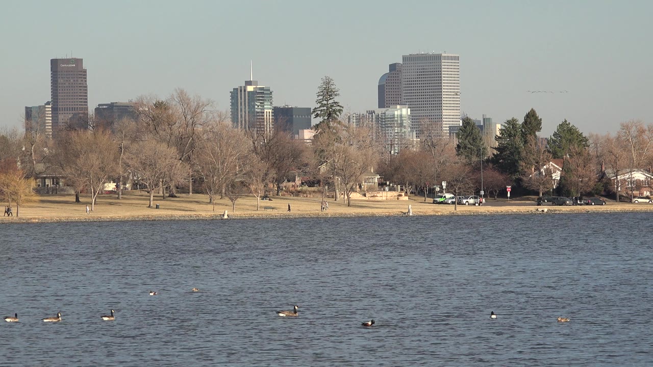 At 0:02, several birds sit low on the water in Westminster, Colorado, with tan park grass, bare trees, cars, homes, and a blocky skyline beyond.