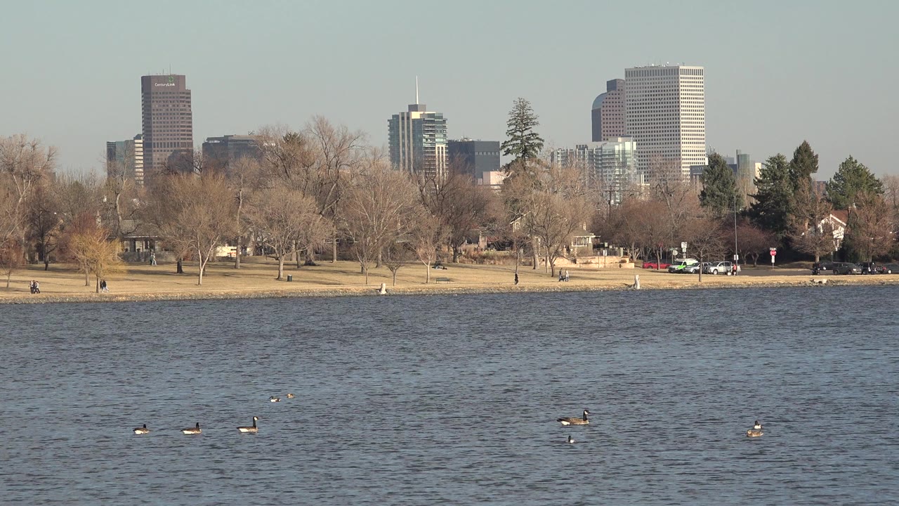 Opening Westminster, Colorado lake view with ducks spread across rippled blue water, tan park grass, leafless trees, and distant city buildings under clear daylight.