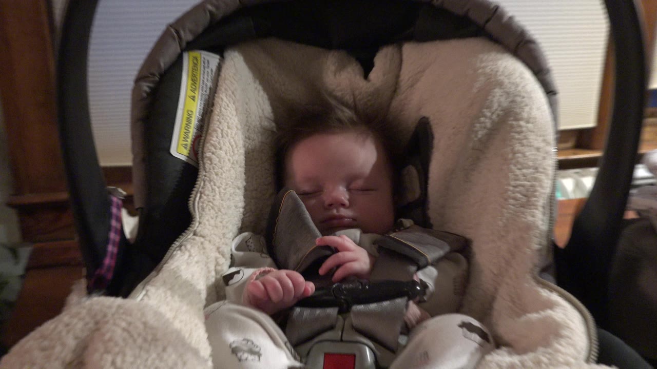 Infant asleep in a padded baby carrier indoors.
