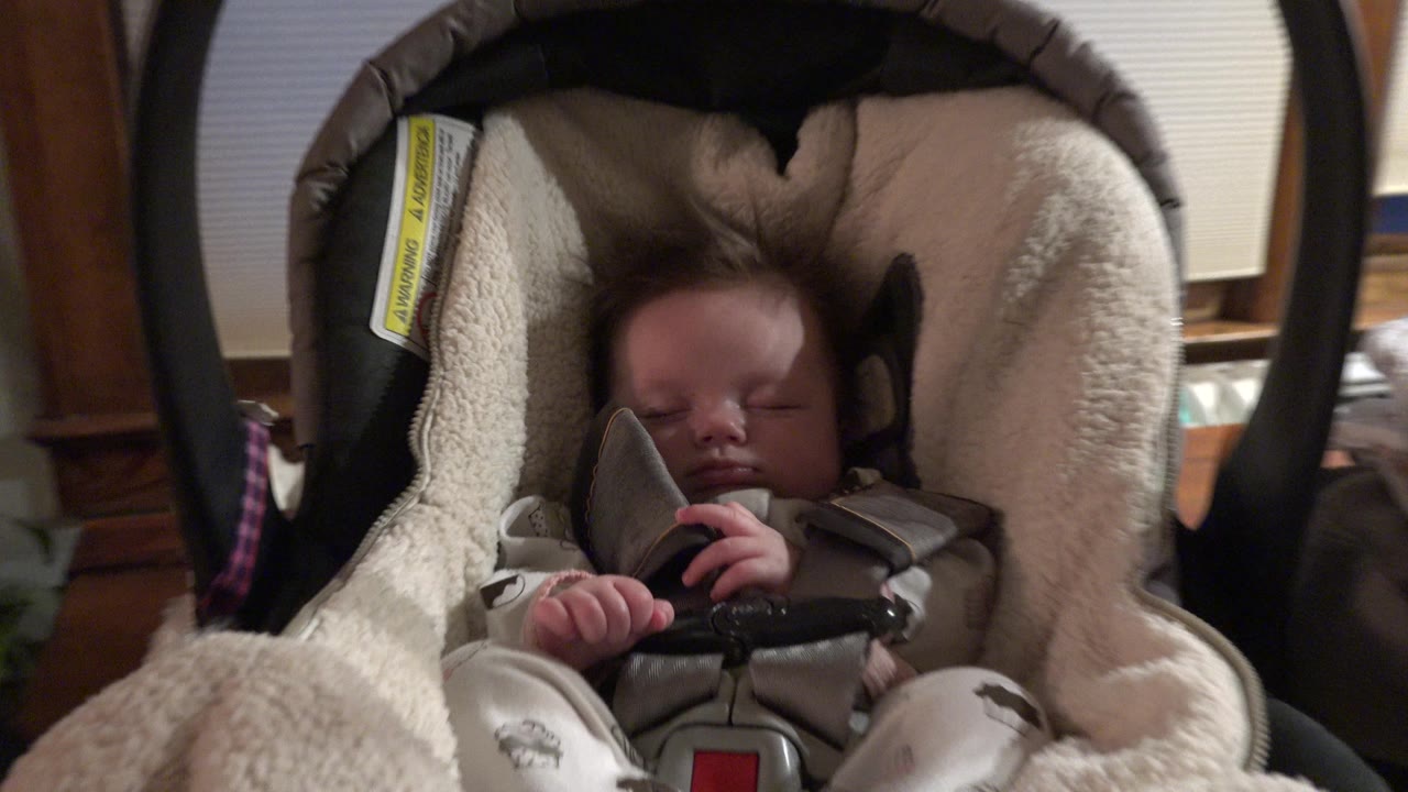 The infant remains centered in the padded carrier, with the dark handle framing the top and soft indoor light falling across the seat lining.