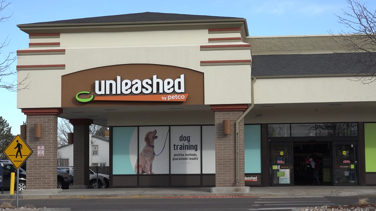 Unleashed by Petco storefront with dog training window graphics