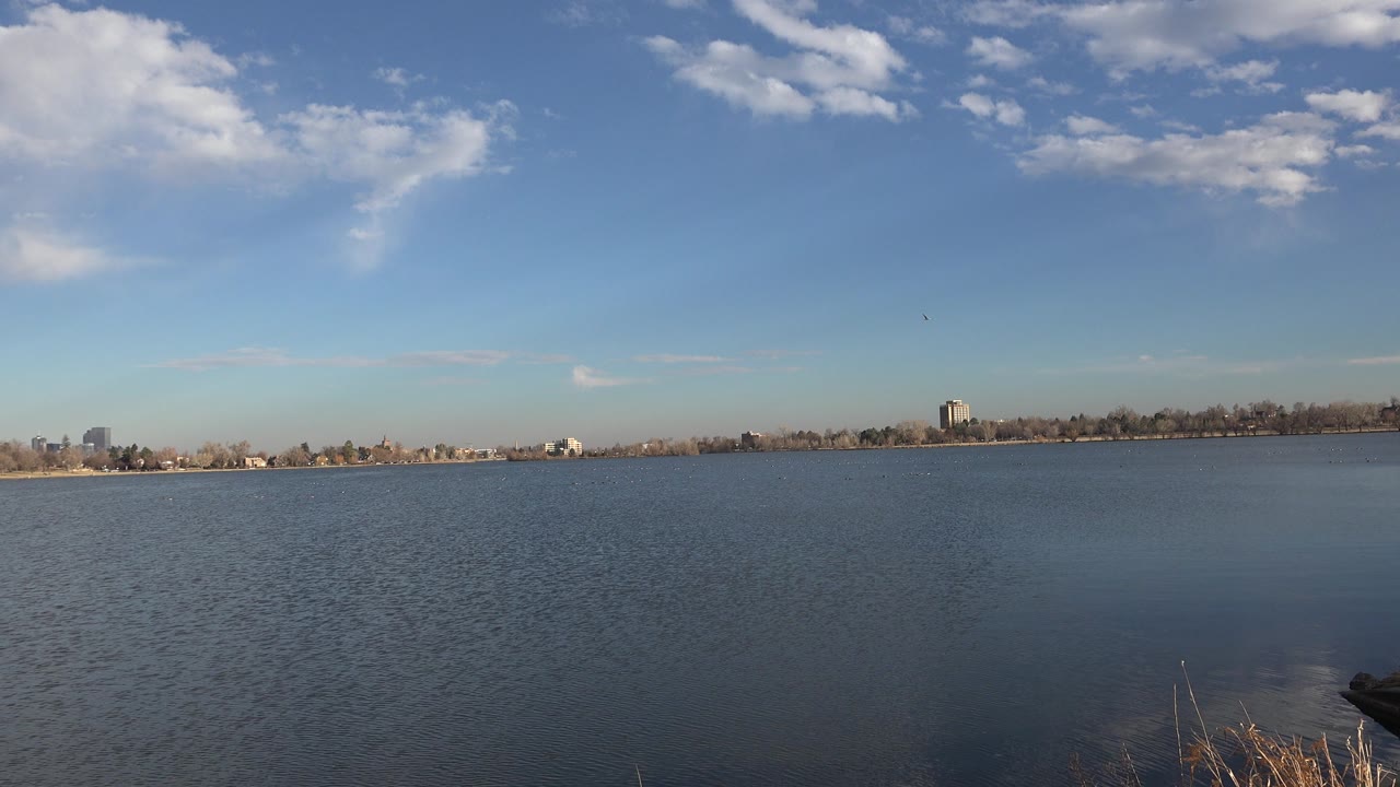 Calm lake horizon with clouds and dry reeds at the edge