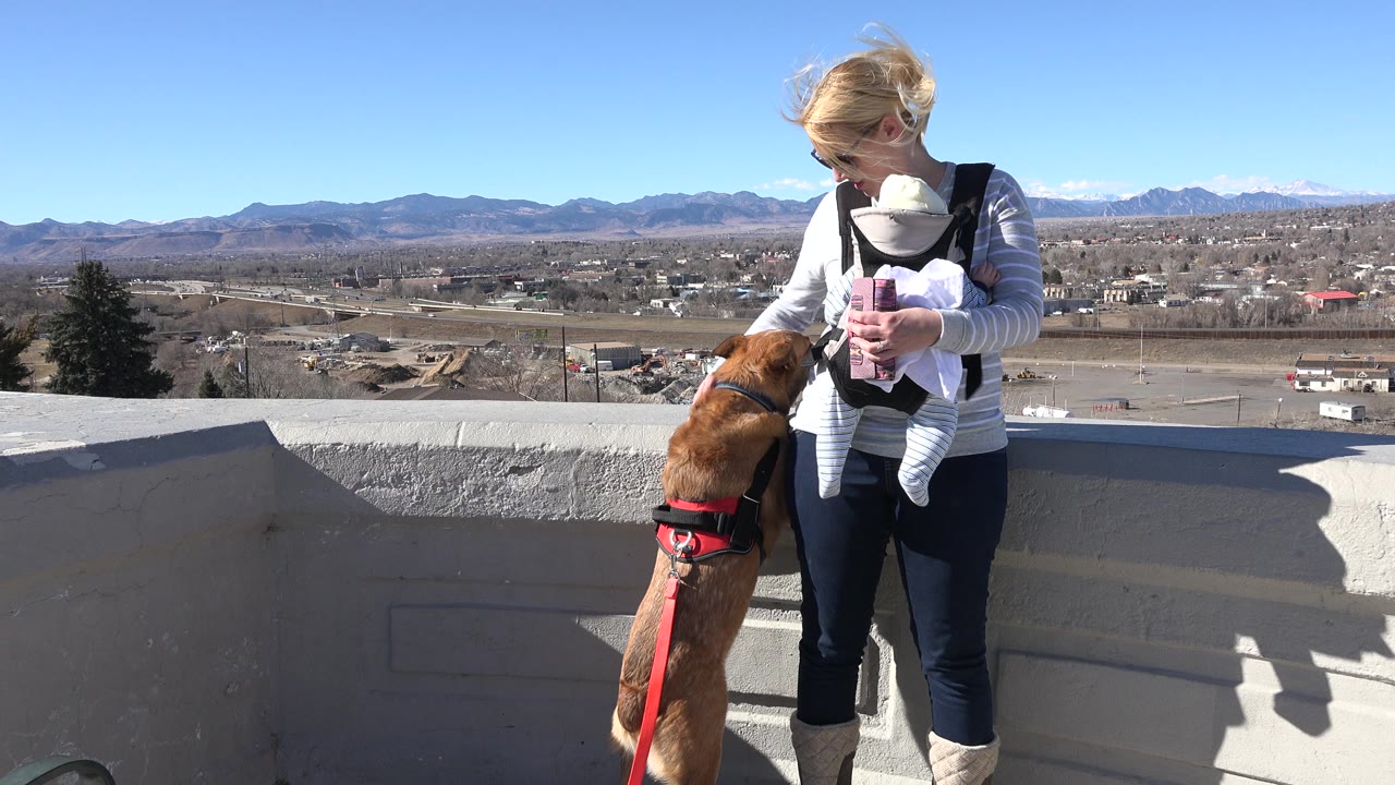 Woman with baby carrier pets a small brown dog by a concrete wall.