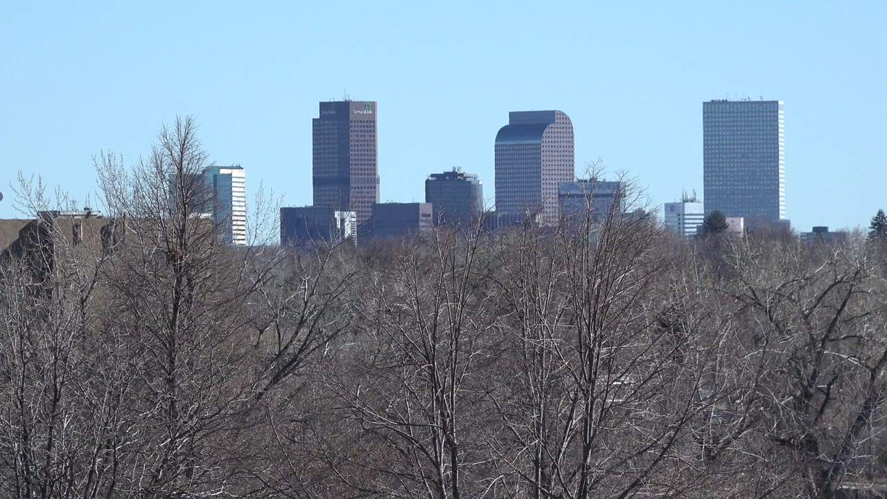 Opening frame of Westminster, Colorado high-rise buildings seen beyond a dense foreground of leafless trees, with no visible people.