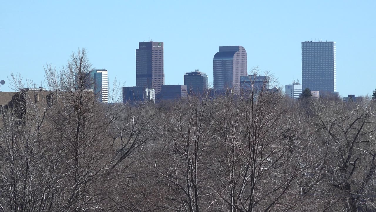 Cluster of tall buildings seen above winter trees.