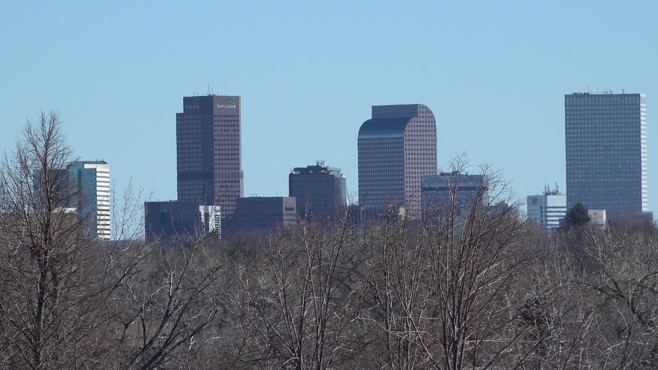 Office towers rising behind leafless trees under blue sky.