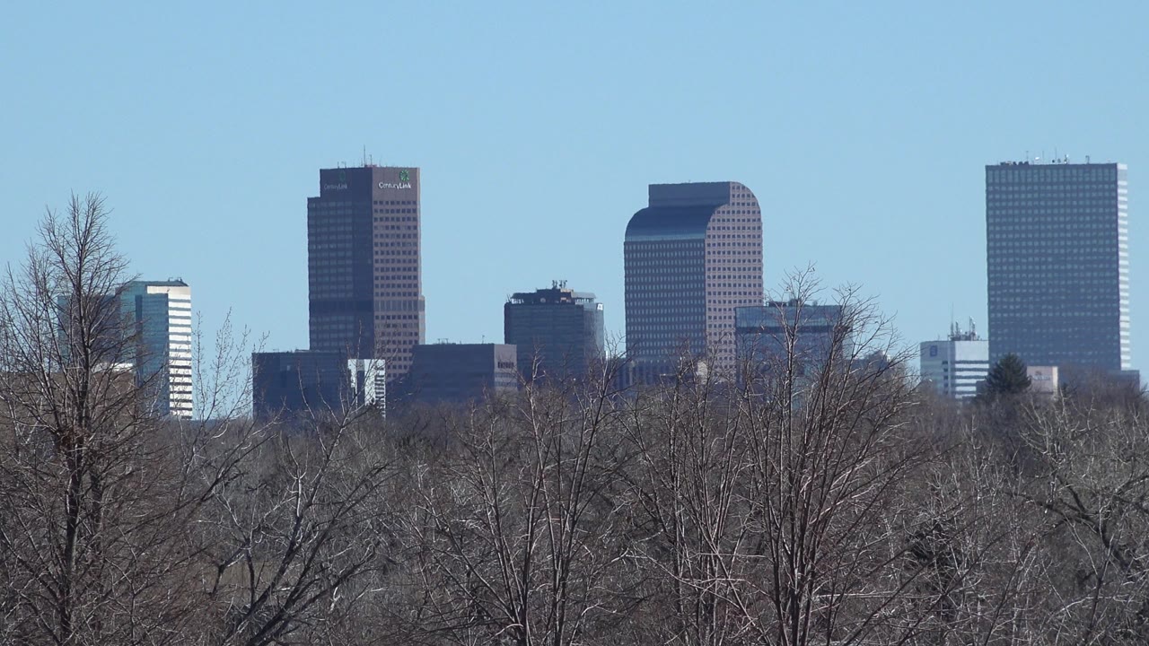 Westminster, Colorado skyline remains centered behind dense leafless branches, with bright blue sky and no visible people.