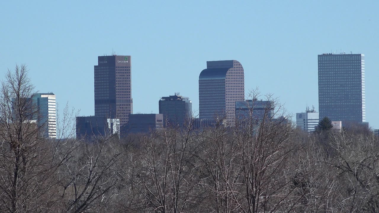 Distant city towers above leafless trees under blue sky.