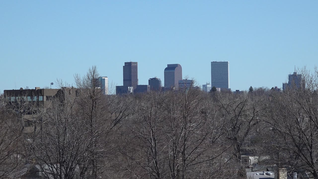 Distant city skyline above leafless trees and suburban rooftops.