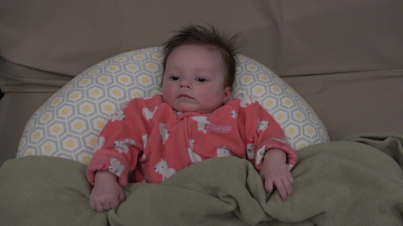 The Westminster baby remains reclined on the patterned pillow, with one hand visible near the green blanket and the beige couch behind.