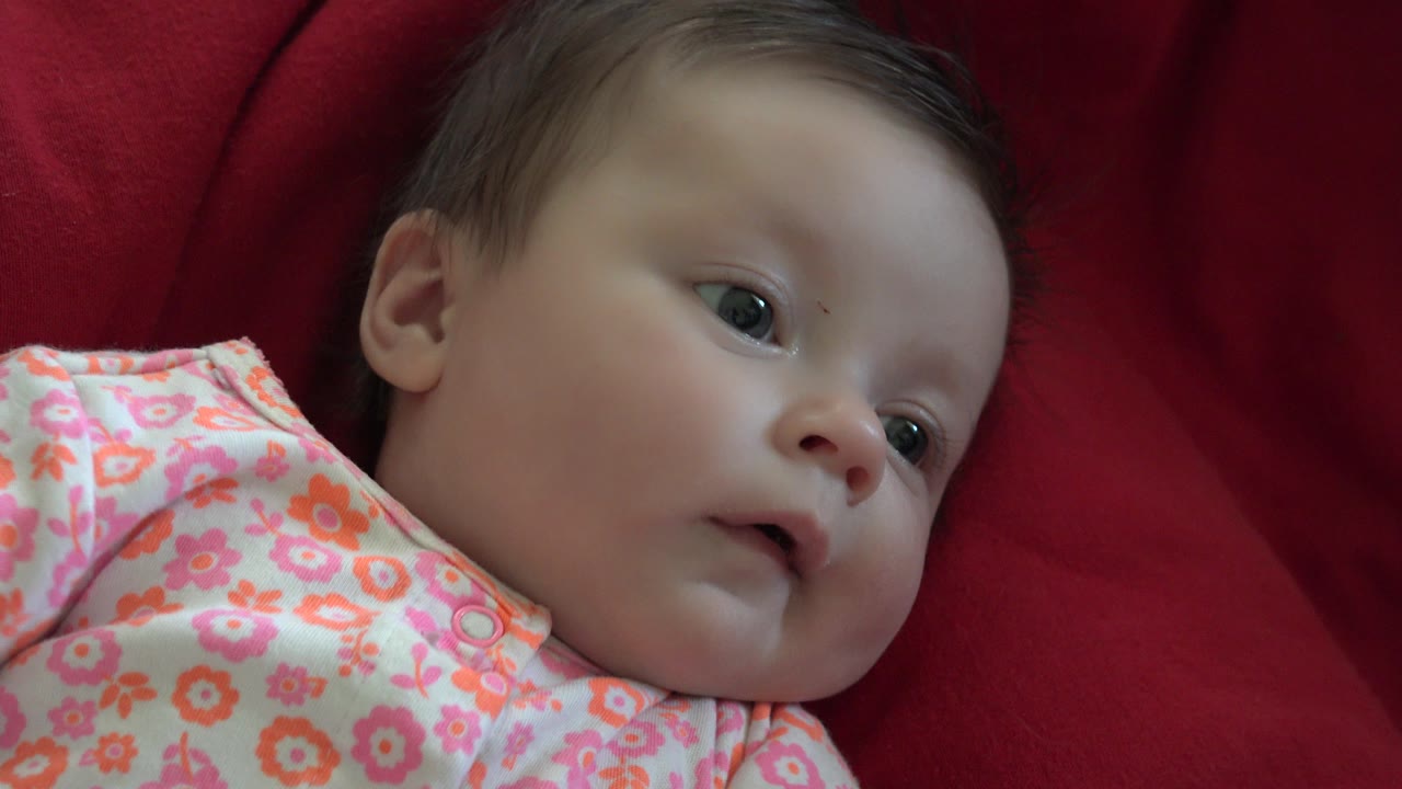 A baby in a pink floral outfit lies on deep red fabric in Westminster, Colorado, looking slightly off to the side at the start of the clip.
