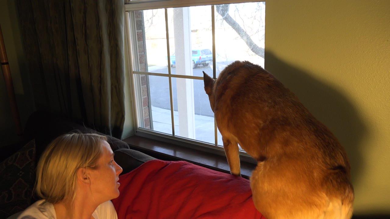 At 0:01 in Westminster, Colorado, the dog remains on the couch back looking outside while the woman appears in profile near the lower left edge.