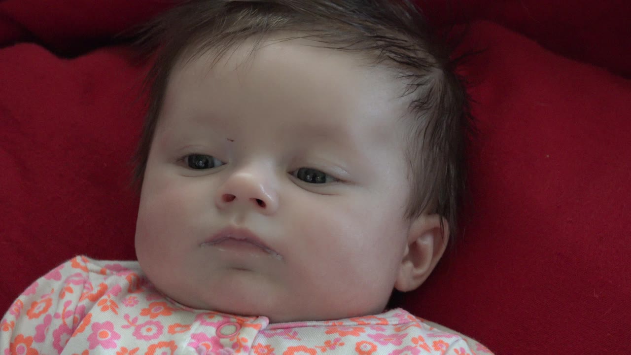 At 0:01, the baby remains close to camera on the red blanket in Westminster, Colorado, with eyes partly open and the floral shirt edge visible.