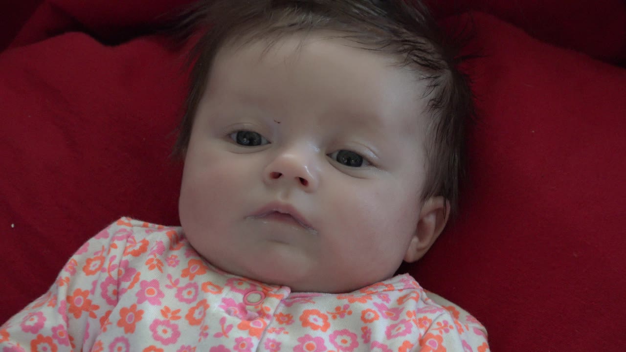 Baby resting on red pillows and looking slightly forward.