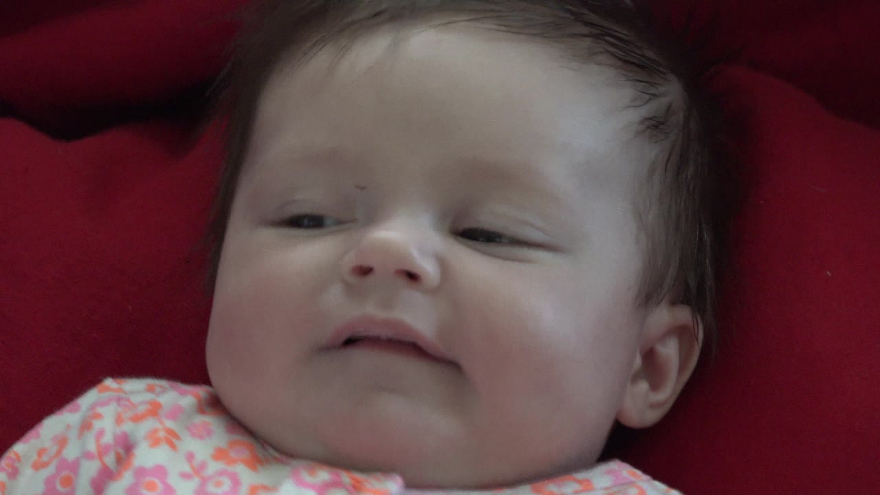 At 0:01, the Westminster newborn remains on the red blanket, eyes partly open and head turned slightly toward the side of the frame.