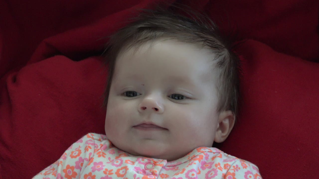 At 0:01, the Westminster baby remains framed from the shoulders up on red fabric, with eyes open and the floral shirt visible at the bottom of frame.