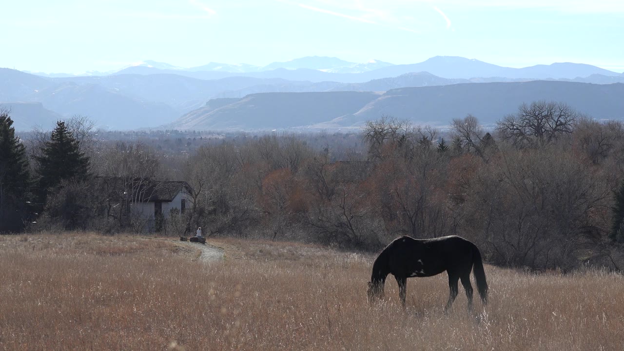 At 0:00, a dark horse grazes in a dry Arvada, Colorado field with bare trees, a small structure, and hazy blue mountains in the background, with no visible people.