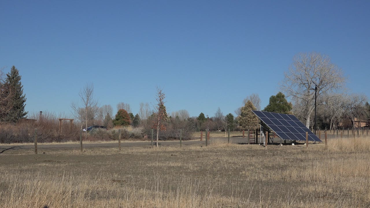 Solar array in open grass with trees behind it