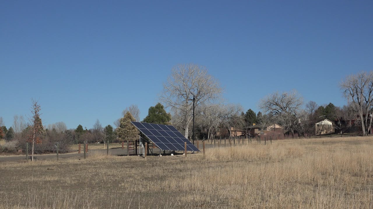 The solar panel remains in the midground of an Arvada, Colorado field, with a small bare tree nearby, distant houses, winter trees, and no visible people.