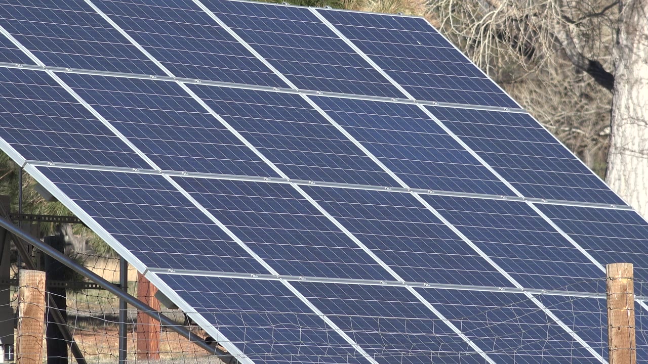 Close frame of blue solar panels in Arvada, Colorado, with wooden fence posts and bare trees partly visible behind them, no visible people.