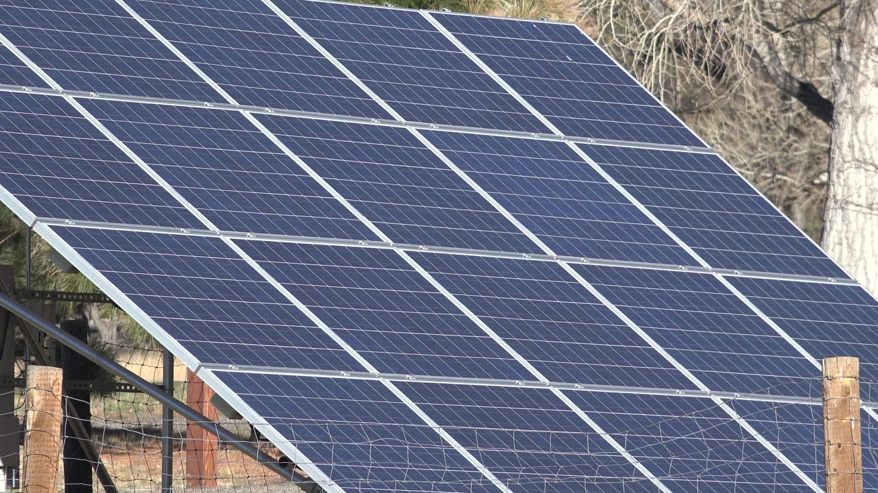 Tight Arvada, Colorado view of a large angled solar array with panel grid lines, tree trunks, and fencing at the edges, no visible people.