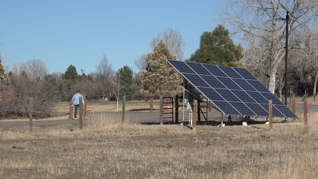 Man walking near a fenced solar panel array in dry park grass.