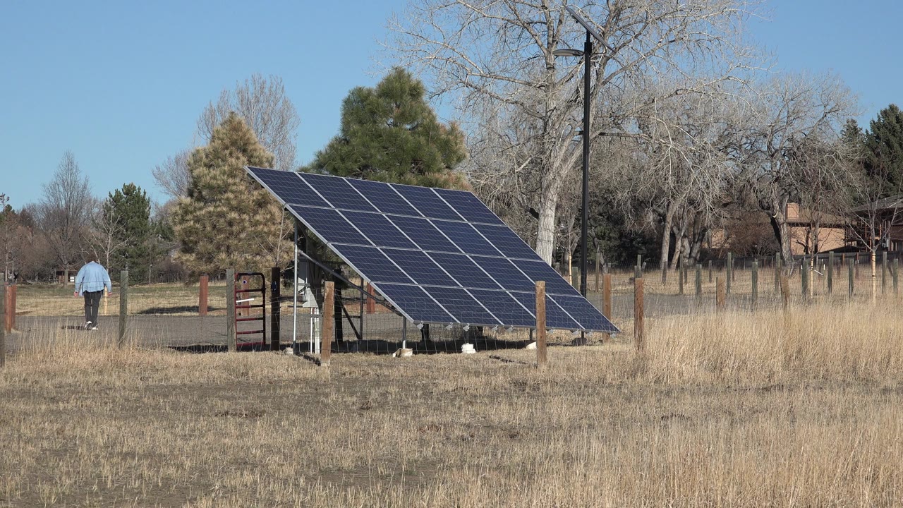 Ground-mounted solar panels beside dry grass and trees.