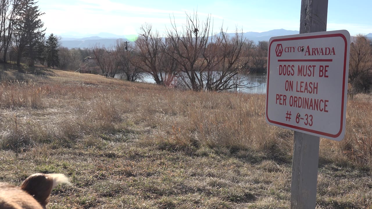 Leash rule sign in a dry park with a dog ear visible near the lower center.