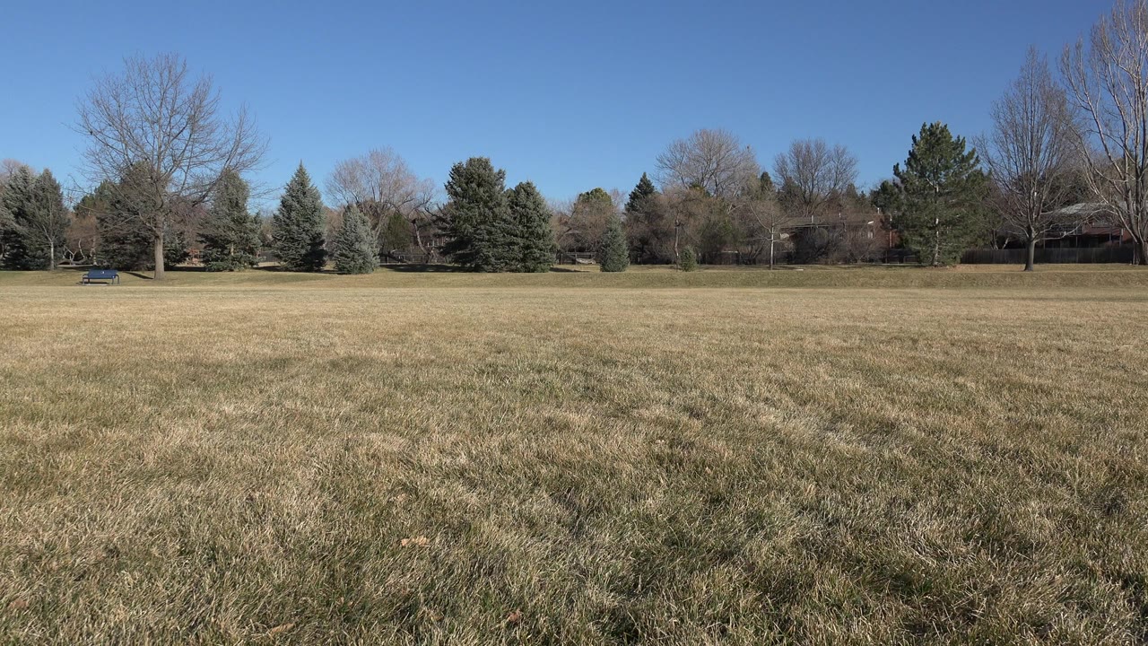 Opening view of a brown grassy field in Arvada, Colorado, with mixed trees along the far edge and no visible people.
