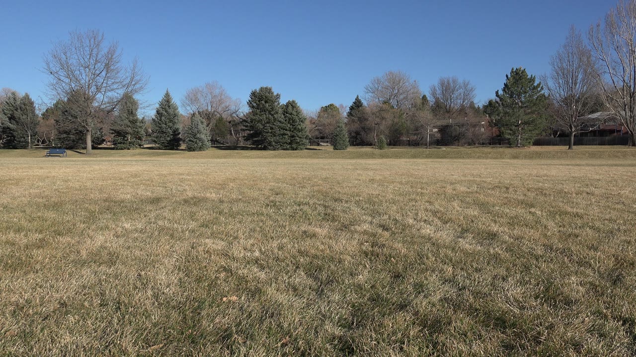 Empty field with low tree line and blue sky