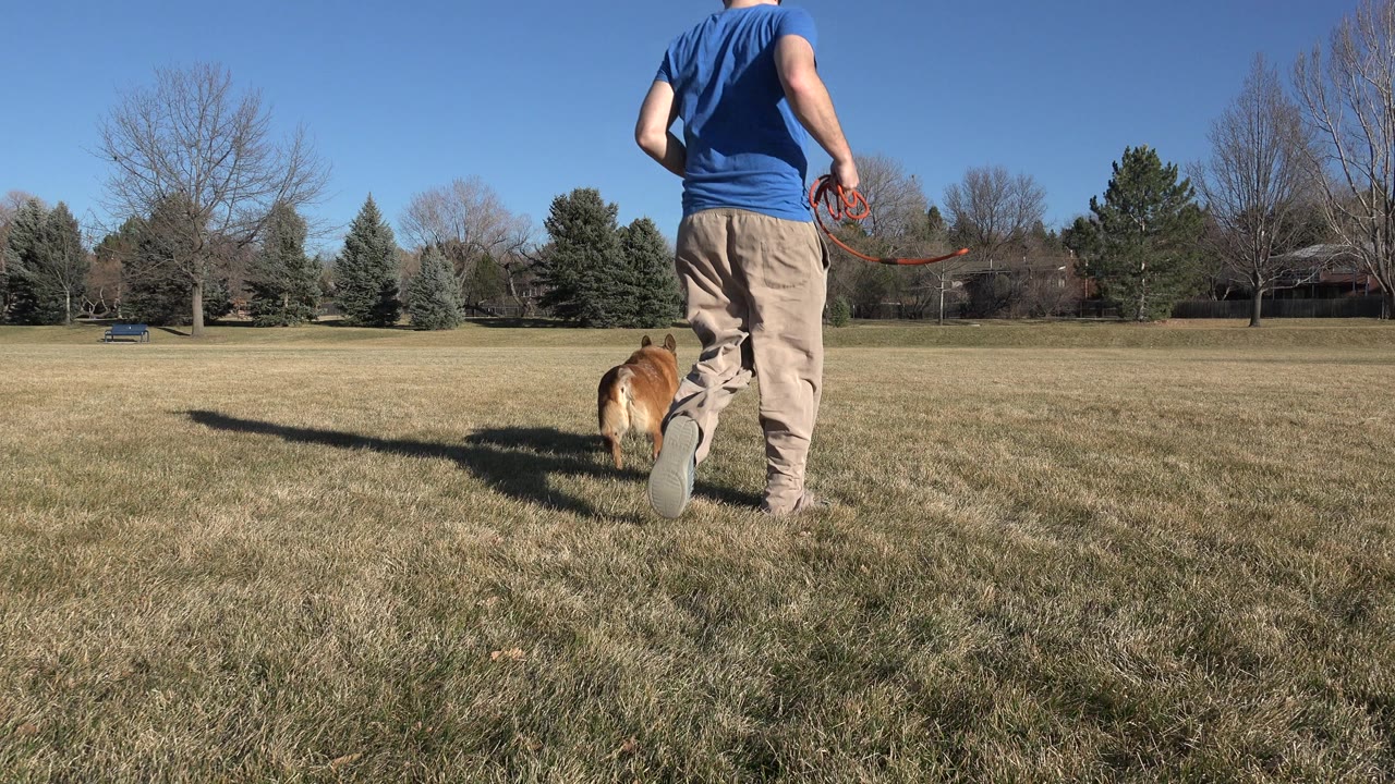 The handler remains close to the low camera as the dog stays near his legs, with dry grass foreground and trees across the Arvada park background.