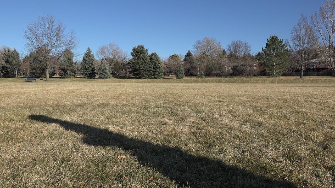 An open grassy field in Arvada, Colorado with bare trees, evergreens, blue sky, a bench in the distance, and no visible people.