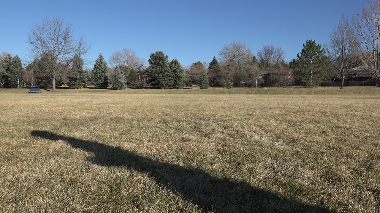 The second frame holds on the Arvada, Colorado field, with dry grass in front, a tree line across the background, a long shadow, and no visible people.
