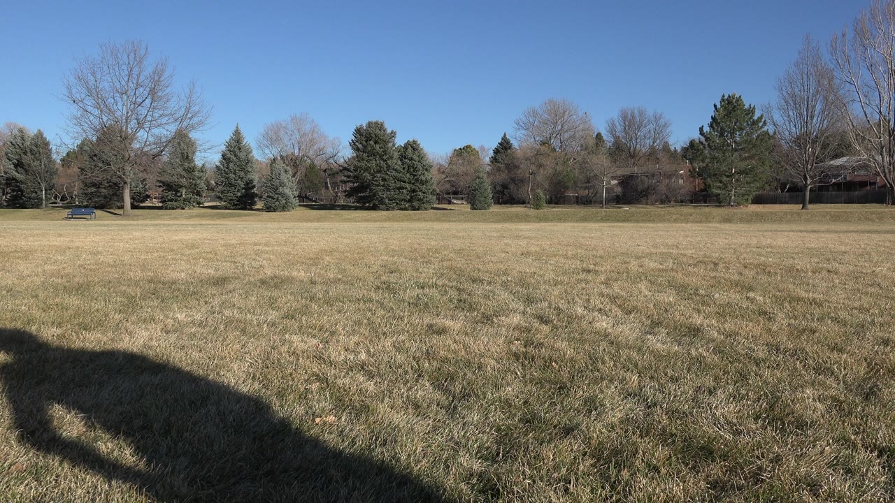 A broad shadow stretches over the near grass in the Arvada, Colorado park while bare trees and evergreens remain sharp in the background, with no visible people.