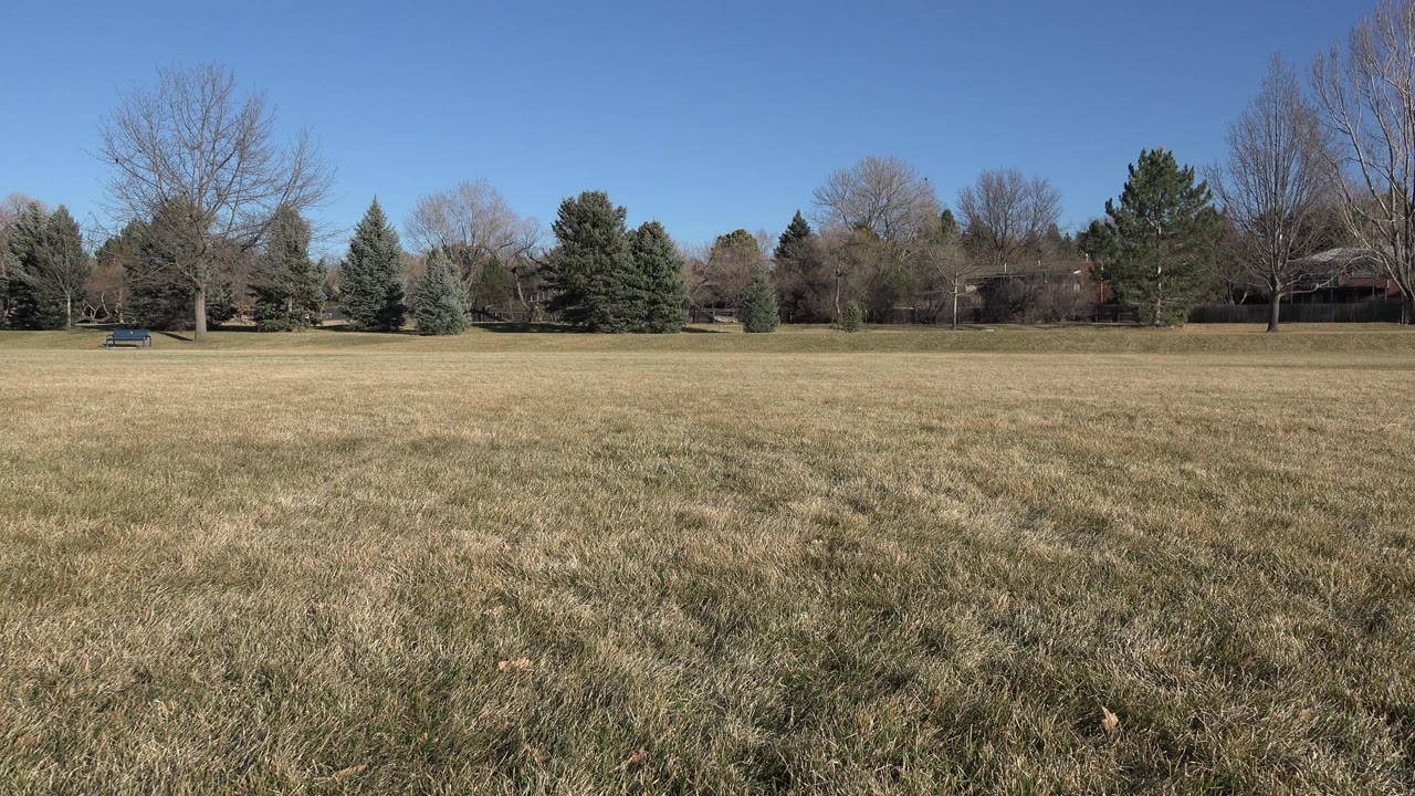 Wide grassy field under a clear blue sky with trees in the distance.