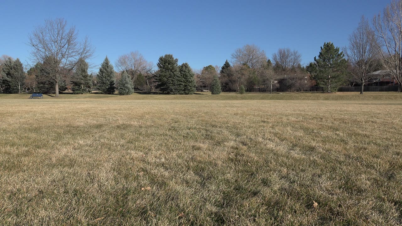 The 0:01 frame holds on the Arvada grass field with yellow-green ground cover, mixed trees across the background, distant homes, and no visible people.