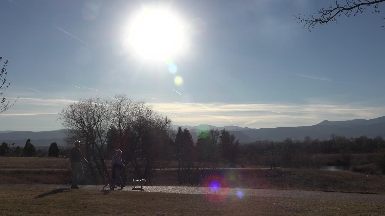 In Arvada, Colorado, a couple and two small dogs appear near the left side of a paved path, with bare trees, open fields, distant mountains, and strong overhead sun.