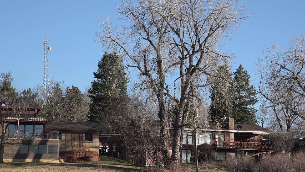 Arvada residential exterior with two houses, a red-brown deck, bare branches, evergreen trees, a chimney, and clear blue sky, with no visible people.